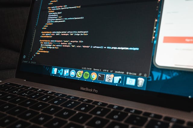 SaaS Web Development